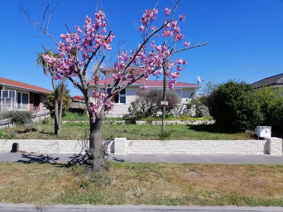 Homestay Family Room, Near The City Center Christchurch Eksteriør bilde